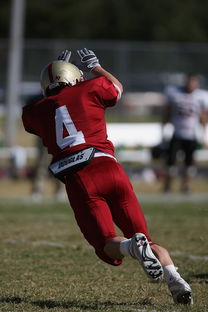 华体会sports-五大联赛最具统治力的球队如何打造，五大联赛良心球队