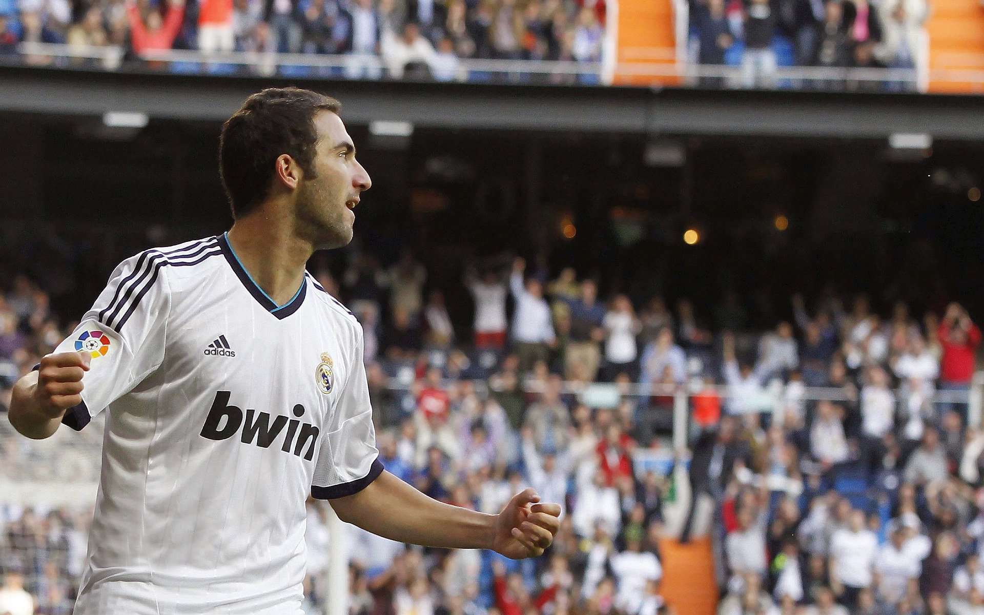 -体育纪录片关注双语运动员成长历程，有关体育史的纪录片